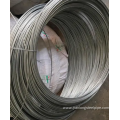 Q195 galvanized wire cage for breeding poplar